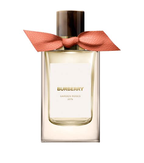 ross burberry perfume|burberry garden roses perfume.